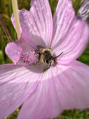 IMG_4200.jpeg