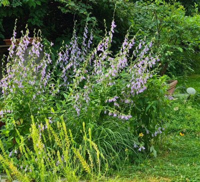 20250704_092540.jpg