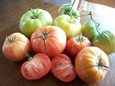 Tomate_Onkel_Franz.jpg