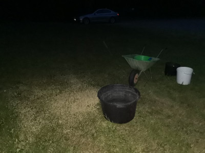 Durum Ernte 7 20250705.jpeg