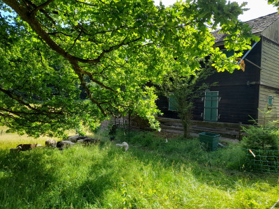 20250704_164756.jpg