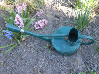 DSCN8395.JPG