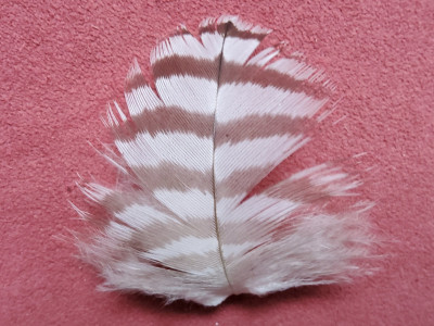 20250708_093023.jpg