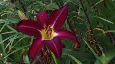 IMG_9171.jpg