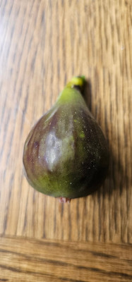 M10