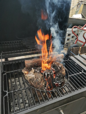 Grillen Esca.jpeg