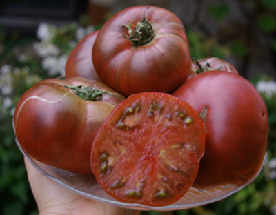 672._Tomate_Morado_v.jpg