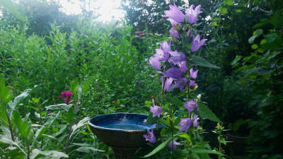 20250710_174900.jpg