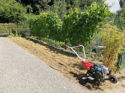Durum Stoppelbearbeitung 3.jpeg