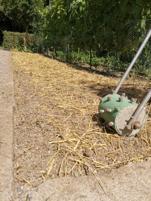 Durum Stoppelbearbeitung 7.jpeg