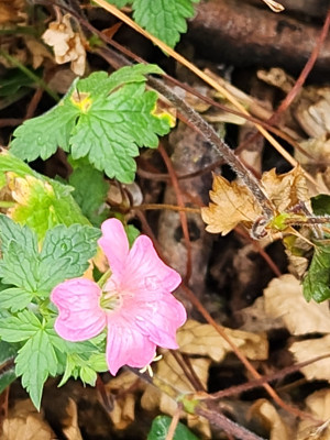 20250713_095225.jpg