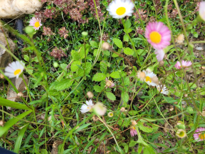 20250713_101032.jpg