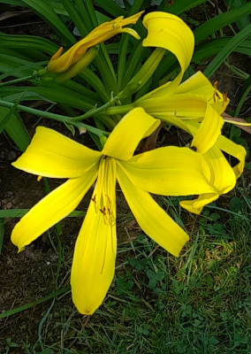 20250713_120551.jpg