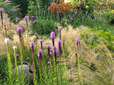 20250712_191119.jpg