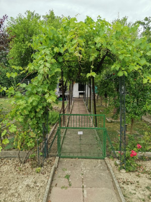 Rebe 129 Pergola.jpeg