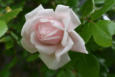 DSC_0792.JPG