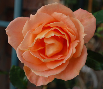 Westfalenpark_0010__1401.jpg