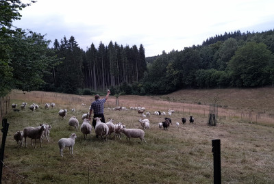 IMG-20250715-WA0015.jpeg