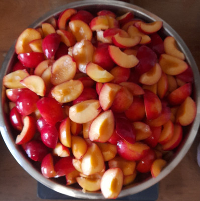 IMG-20250716-WA0003.jpeg