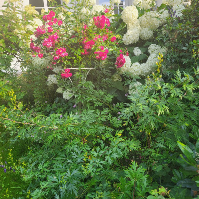 20250716_193140.jpg