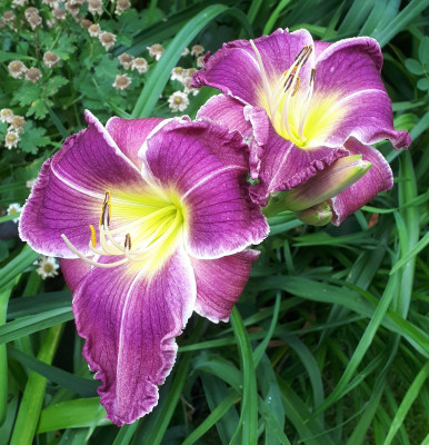 20250717_112942.jpg