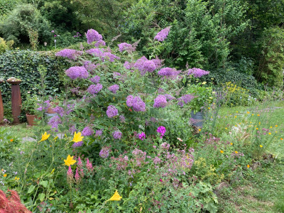 IMG_1839.jpeg