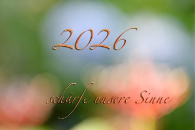 Titel-Jul0925_096-small.jpg