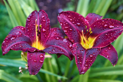 Dancing in the Rain