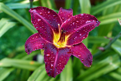 Dancing in the Rain