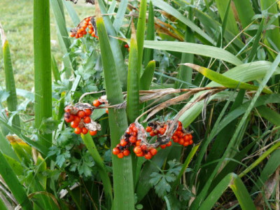 P1160019_1.JPG