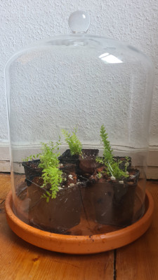 20250720_104459.jpg