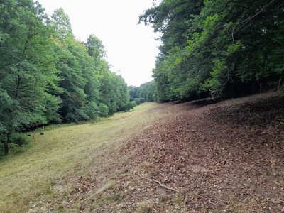 20250720_092332.jpg
