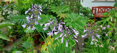 20250720_102316.jpg