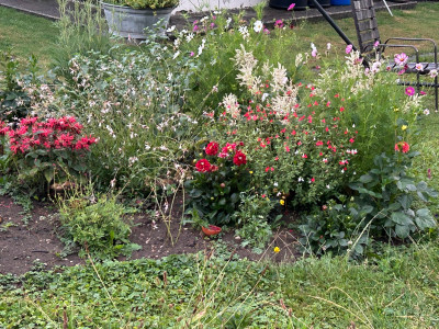 IMG_9766.jpeg