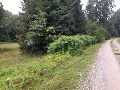 20250721_082554.jpg