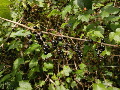 20250720_123753.jpg