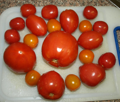 PB113366a.jpg