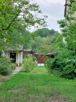 20250721_142441.jpg