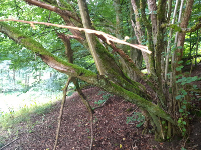 20250721_145521.jpg