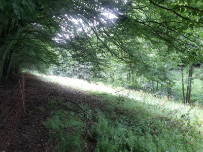 20250721_145307.jpg