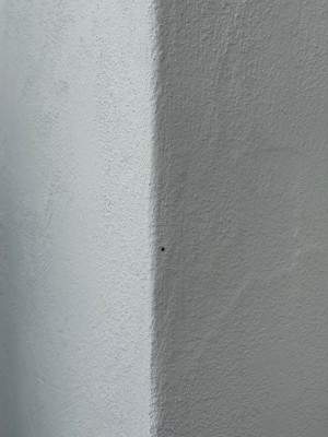 IMG_8017.jpeg