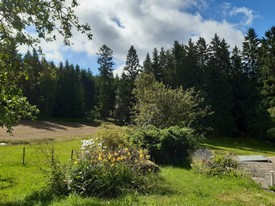 20250722_095103.jpg