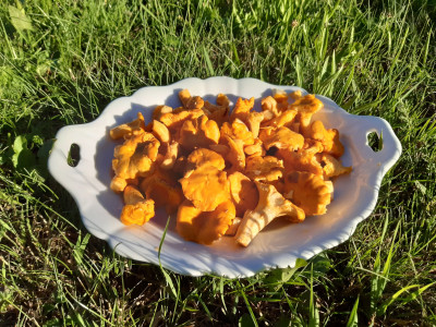 20250722_183751.jpg
