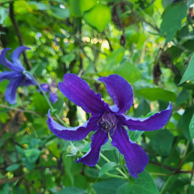 20250719_185841.jpg