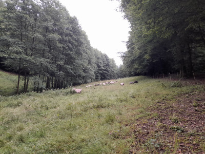 20250722_175923.jpg