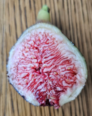 Ronde de Bordeaux Breba