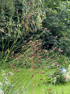 IMG_8205.jpeg