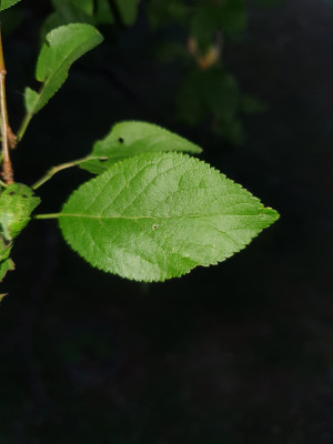 20250720_203144.jpg