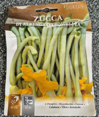 Zucca_di_Albenga.jpg