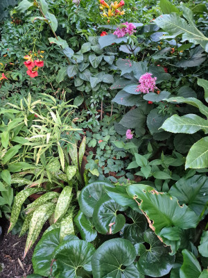 20250723_210805.jpg